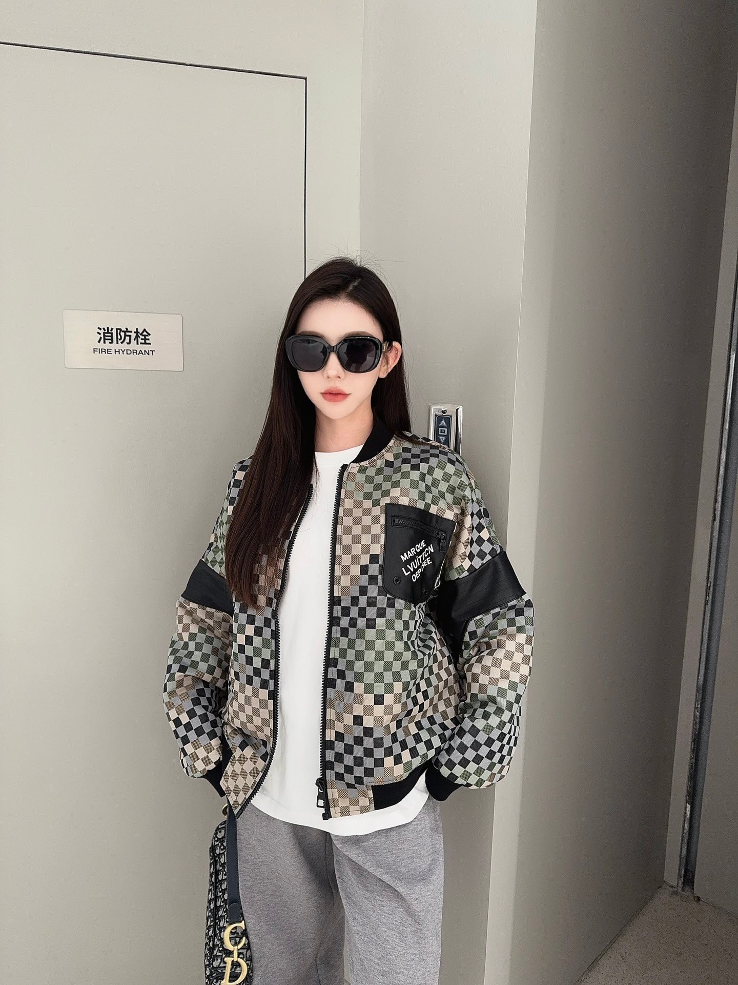 Louis Vuitton Checkered Flight Jacket 