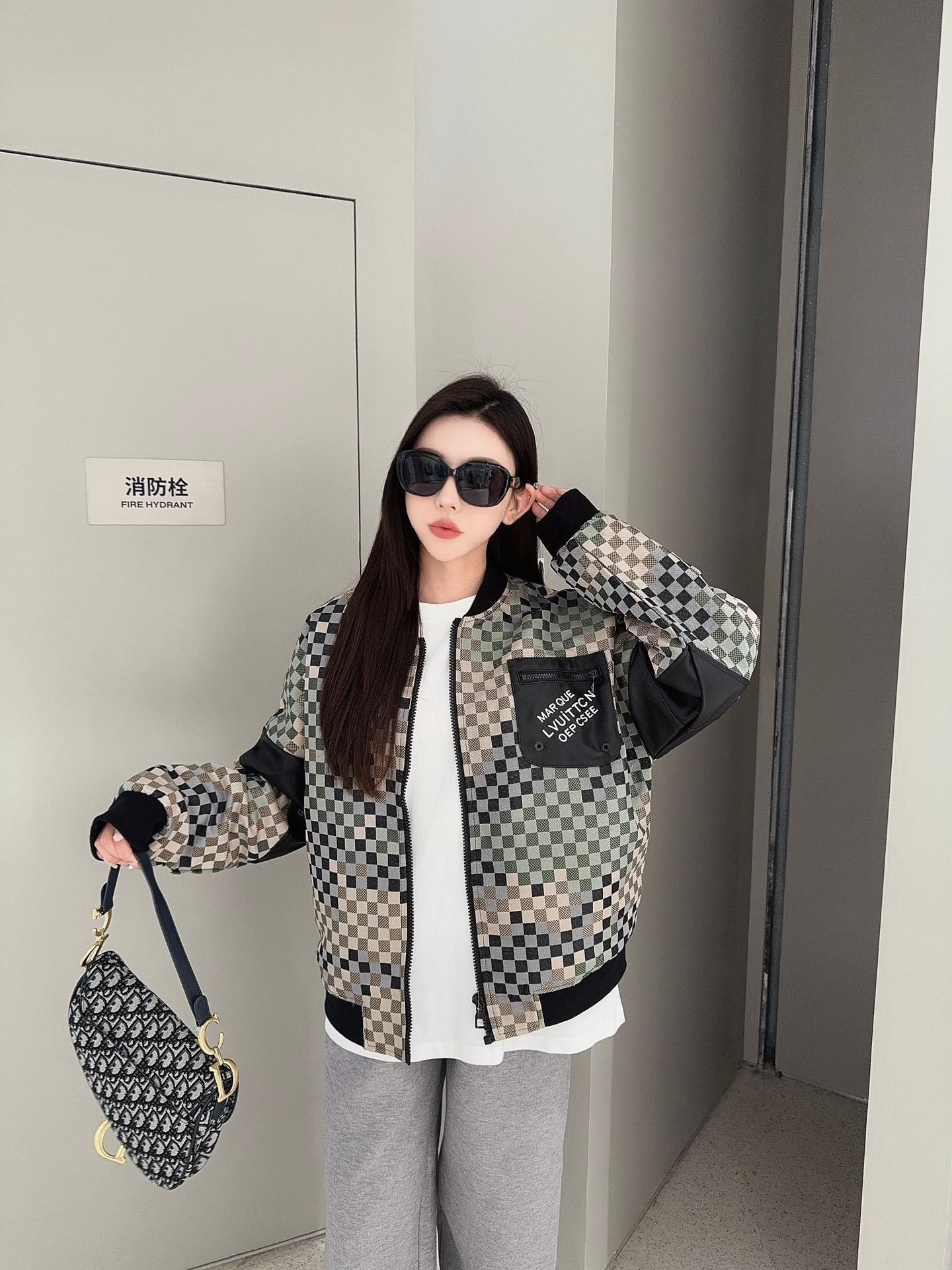 Louis Vuitton Checkered Flight Jacket 