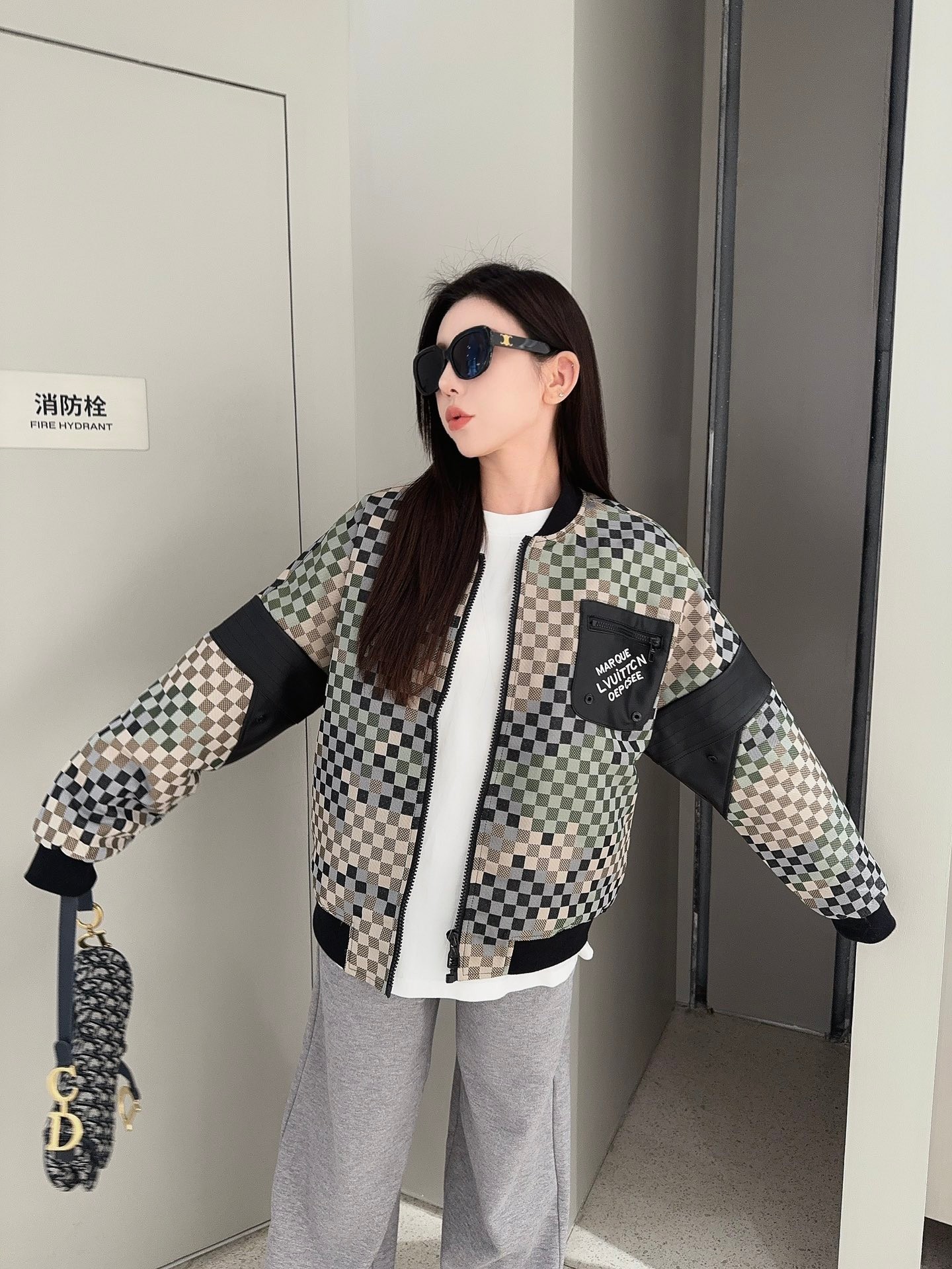 Louis Vuitton Checkered Flight Jacket 