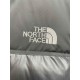 The North Face 1996 Nuptse Down Jacket Blue