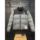 The North Face 1996 Nuptse Down Jacket Silver