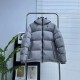 The North Face 22F-WS Nuptse Hoodie Short Down Jacket