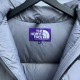 The North Face 22F-WS Nuptse Hoodie Short Down Jacket