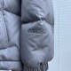 The North Face 22F-WS Nuptse Hoodie Short Down Jacket