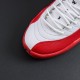 NIKE AIR JORDAN 12 Basketball Shoes