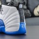 NIKE AIR JORDAN 12 Basketball Shoes