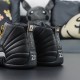 NIKE AIR JORDAN 12 Retro The Master Basketball Shoes