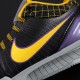 NIKE ZOOM KOBE 4 PROTRO CARPE DIEM Basketball Shoes